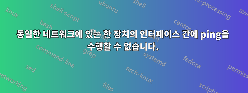 동일한 네트워크에 있는 한 장치의 인터페이스 간에 ping을 수행할 수 없습니다.