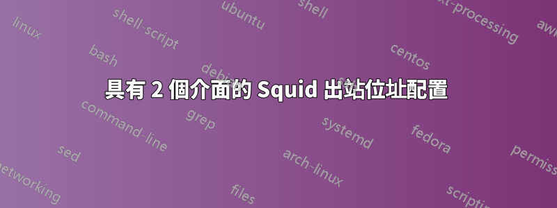 具有 2 個介面的 Squid 出站位址配置