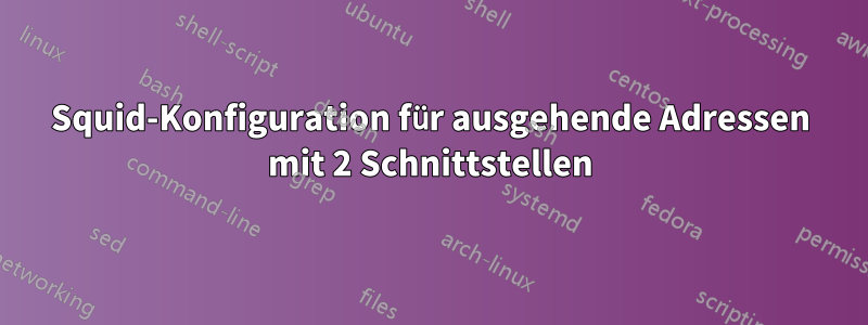 Squid-Konfiguration für ausgehende Adressen mit 2 Schnittstellen