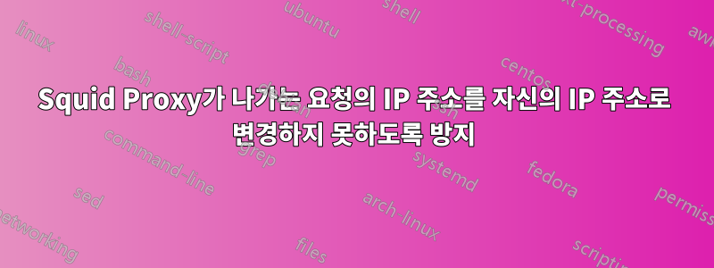 Squid Proxy가 나가는 요청의 IP 주소를 자신의 IP 주소로 변경하지 못하도록 방지