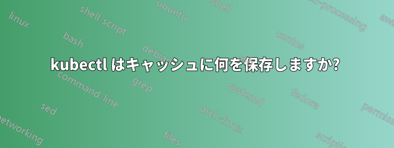 kubectl はキャッシュに何を保存しますか?