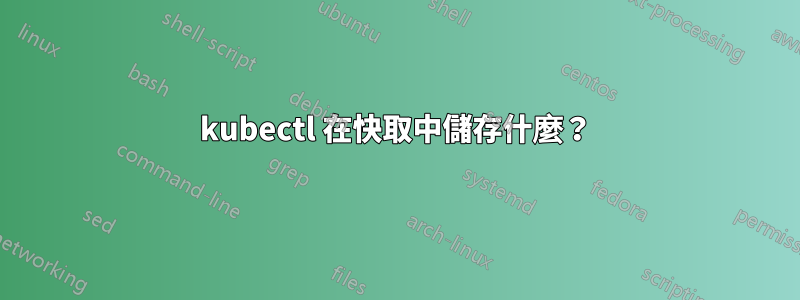 kubectl 在快取中儲存什麼？