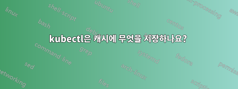 kubectl은 캐시에 무엇을 저장하나요?