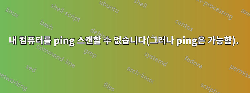 내 컴퓨터를 ping 스캔할 수 없습니다(그러나 ping은 가능함).