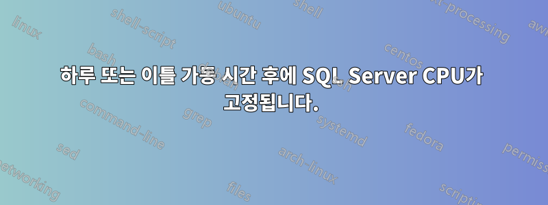 하루 또는 이틀 가동 시간 후에 SQL Server CPU가 고정됩니다.