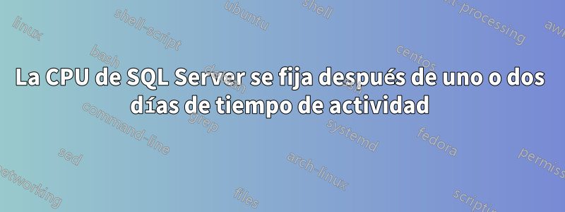 La CPU de SQL Server se fija después de uno o dos días de tiempo de actividad