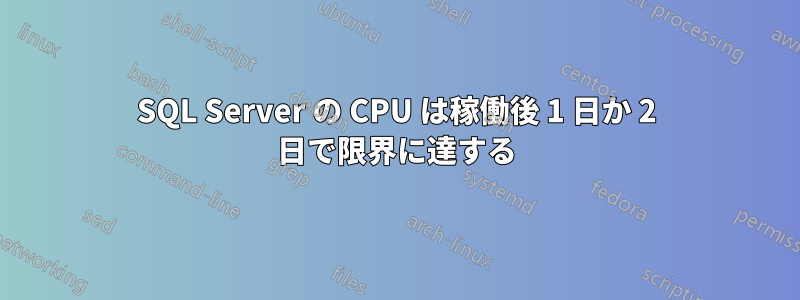 SQL Server の CPU は稼働後 1 日か 2 日で限界に達する