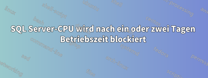 SQL Server-CPU wird nach ein oder zwei Tagen Betriebszeit blockiert