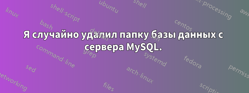 Я случайно удалил папку базы данных с сервера MySQL.