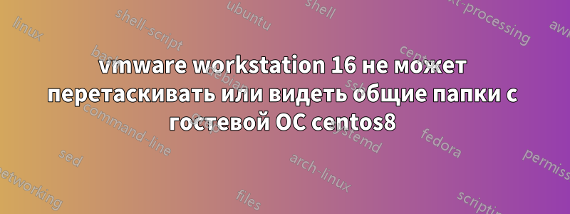 vmware workstation 16 не может перетаскивать или видеть общие папки с гостевой ОС centos8