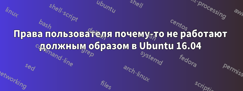 Права пользователя почему-то не работают должным образом в Ubuntu 16.04