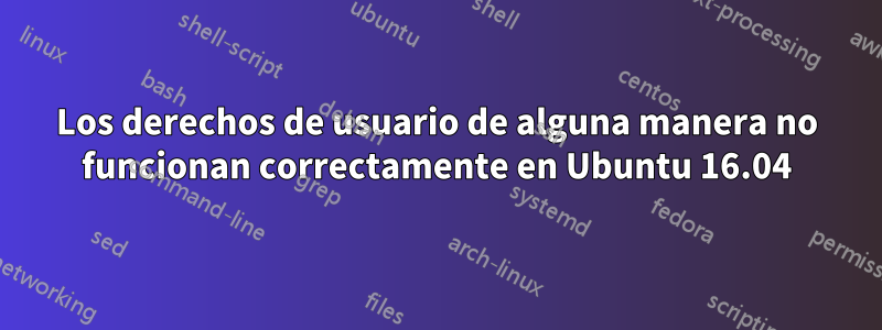 Los derechos de usuario de alguna manera no funcionan correctamente en Ubuntu 16.04