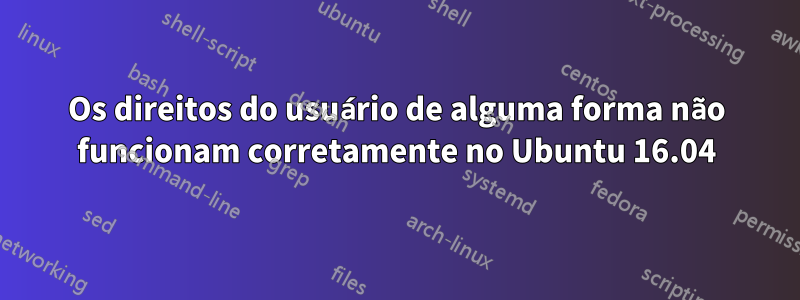 Os direitos do usuário de alguma forma não funcionam corretamente no Ubuntu 16.04