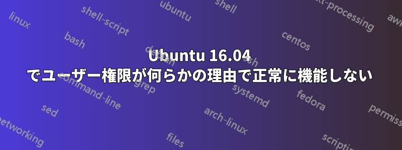 Ubuntu 16.04 でユーザー権限が何らかの理由で正常に機能しない