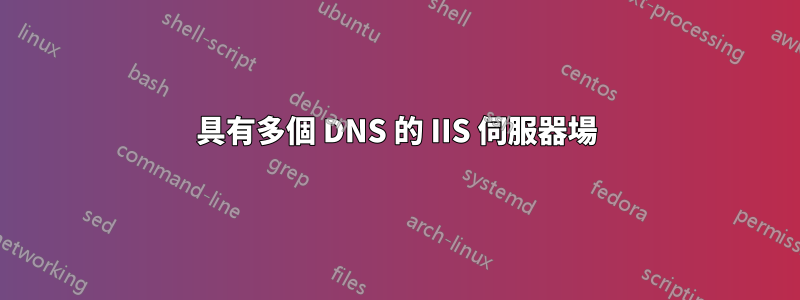 具有多個 DNS 的 IIS 伺服器場