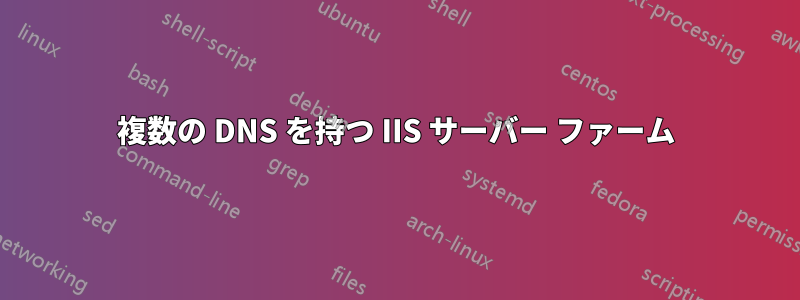 複数の DNS を持つ IIS サーバー ファーム