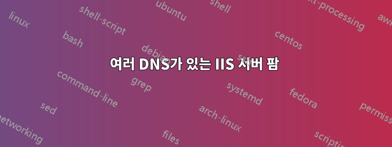 여러 DNS가 있는 IIS 서버 팜