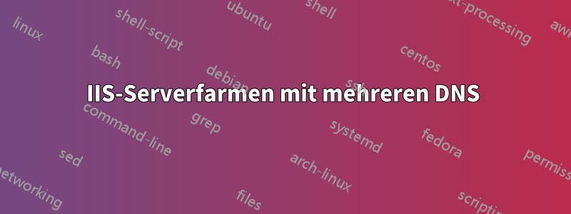 IIS-Serverfarmen mit mehreren DNS