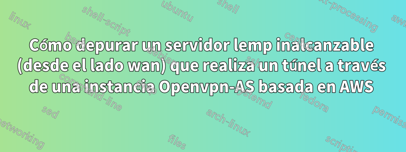 Cómo depurar un servidor lemp inalcanzable (desde el lado wan) que realiza un túnel a través de una instancia Openvpn-AS basada en AWS