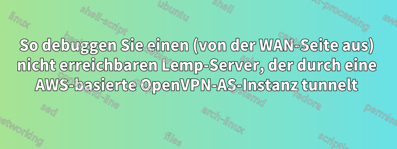 So debuggen Sie einen (von der WAN-Seite aus) nicht erreichbaren Lemp-Server, der durch eine AWS-basierte OpenVPN-AS-Instanz tunnelt