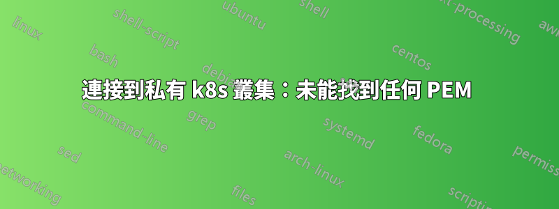 連接到私有 k8s 叢集：未能找到任何 PEM