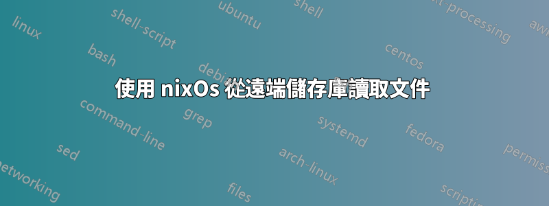 使用 nixOs 從遠端儲存庫讀取文件