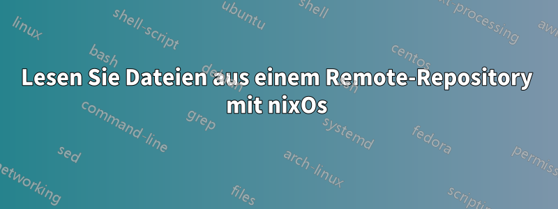 Lesen Sie Dateien aus einem Remote-Repository mit nixOs