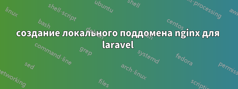 создание локального поддомена nginx для laravel