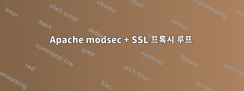 Apache modsec + SSL 프록시 루프