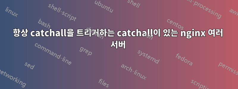 항상 catchall을 트리거하는 catchall이 있는 nginx 여러 서버