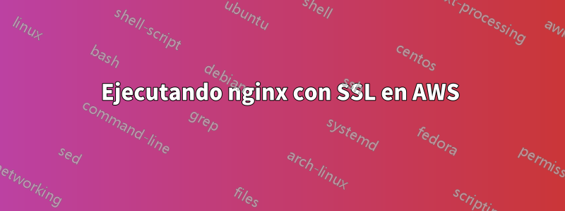 Ejecutando nginx con SSL en AWS