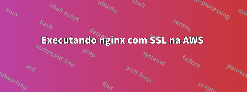 Executando nginx com SSL na AWS