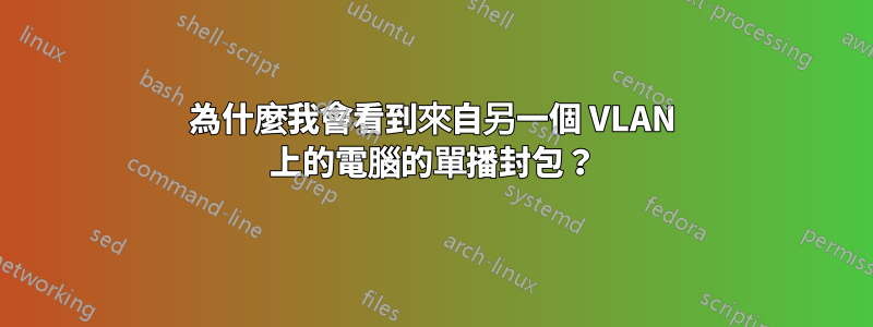 為什麼我會看到來自另一個 VLAN 上的電腦的單播封包？