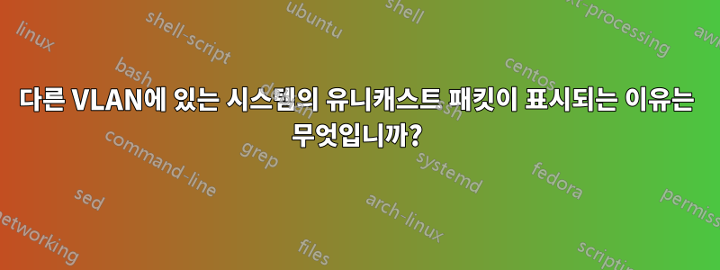 다른 VLAN에 있는 시스템의 유니캐스트 패킷이 표시되는 이유는 무엇입니까?