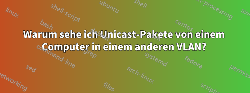 Warum sehe ich Unicast-Pakete von einem Computer in einem anderen VLAN?