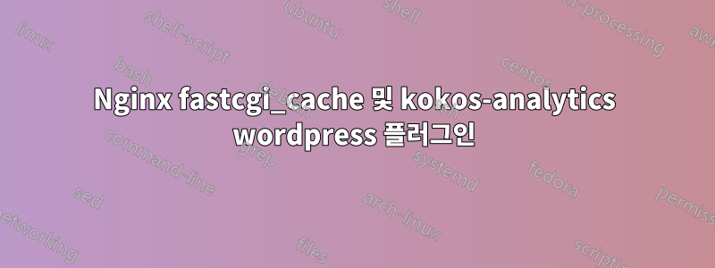 Nginx fastcgi_cache 및 kokos-analytics wordpress 플러그인