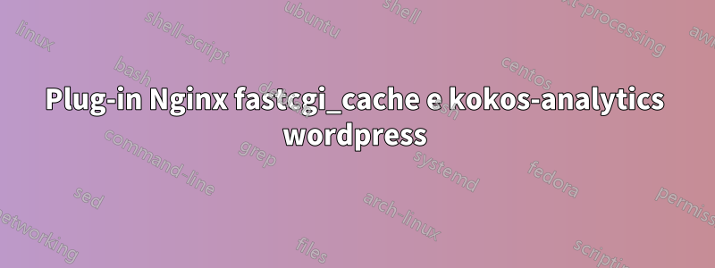 Plug-in Nginx fastcgi_cache e kokos-analytics wordpress