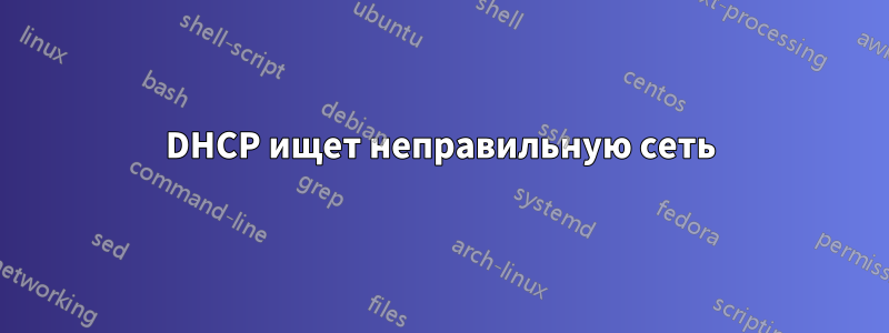 DHCP ищет неправильную сеть