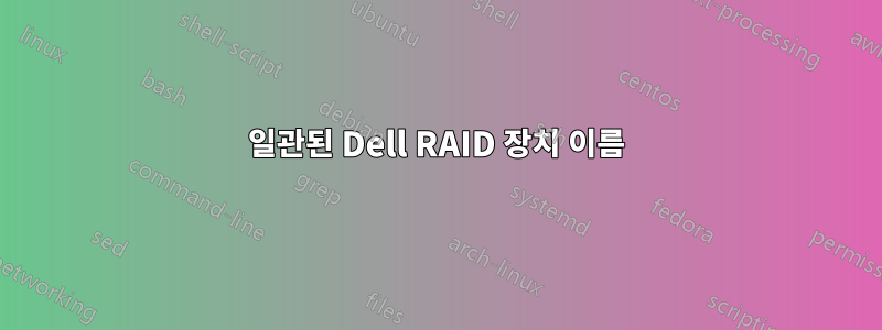 일관된 Dell RAID 장치 이름