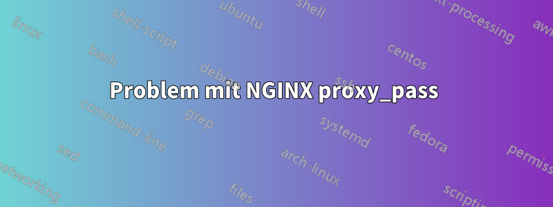 Problem mit NGINX proxy_pass