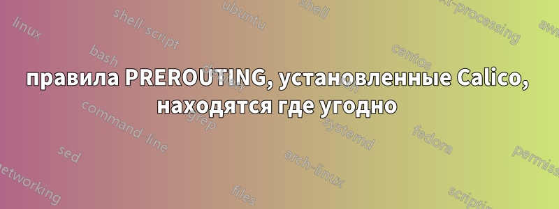 правила PREROUTING, установленные Calico, находятся где угодно