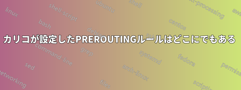 カリコが設定したPREROUTINGルールはどこにでもある