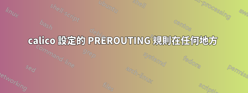 calico 設定的 PREROUTING 規則在任何地方