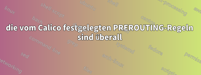 die vom Calico festgelegten PREROUTING-Regeln sind überall