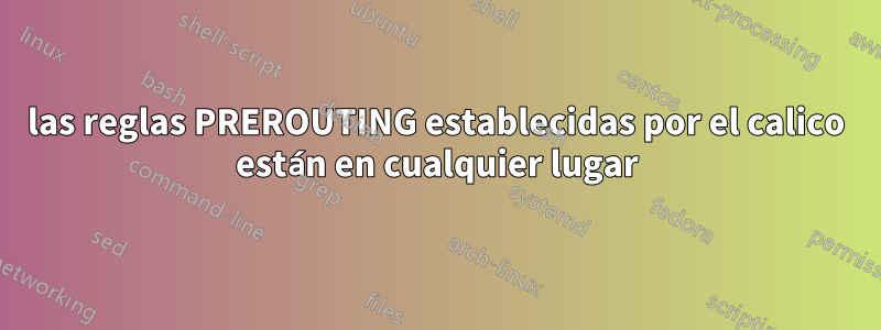 las reglas PREROUTING establecidas por el calico están en cualquier lugar