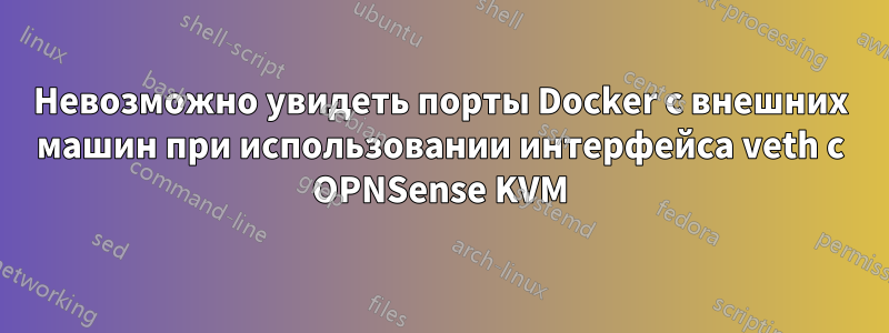 Невозможно увидеть порты Docker с внешних машин при использовании интерфейса veth с OPNSense KVM