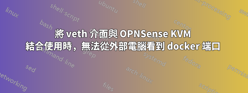 將 veth 介面與 OPNSense KVM 結合使用時，無法從外部電腦看到 docker 端口