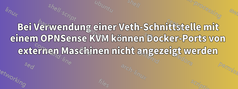 Bei Verwendung einer Veth-Schnittstelle mit einem OPNSense KVM können Docker-Ports von externen Maschinen nicht angezeigt werden