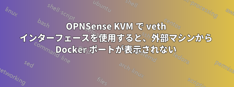 OPNSense KVM で veth インターフェースを使用すると、外部マシンから Docker ポートが表示されない