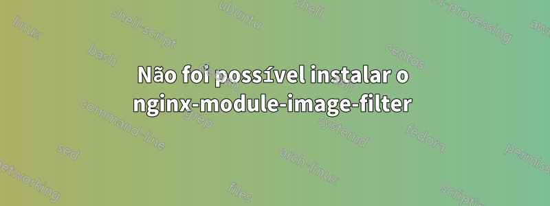 Não foi possível instalar o nginx-module-image-filter